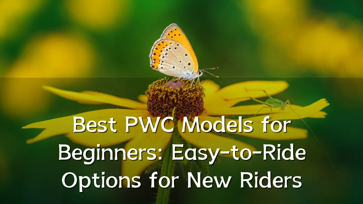 Best PWC Models for Beginners: Easy-to-Ride Options for New Riders