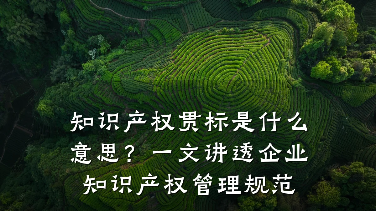知识产权贯标是什么意思?一文讲透企业知识产权管理规范