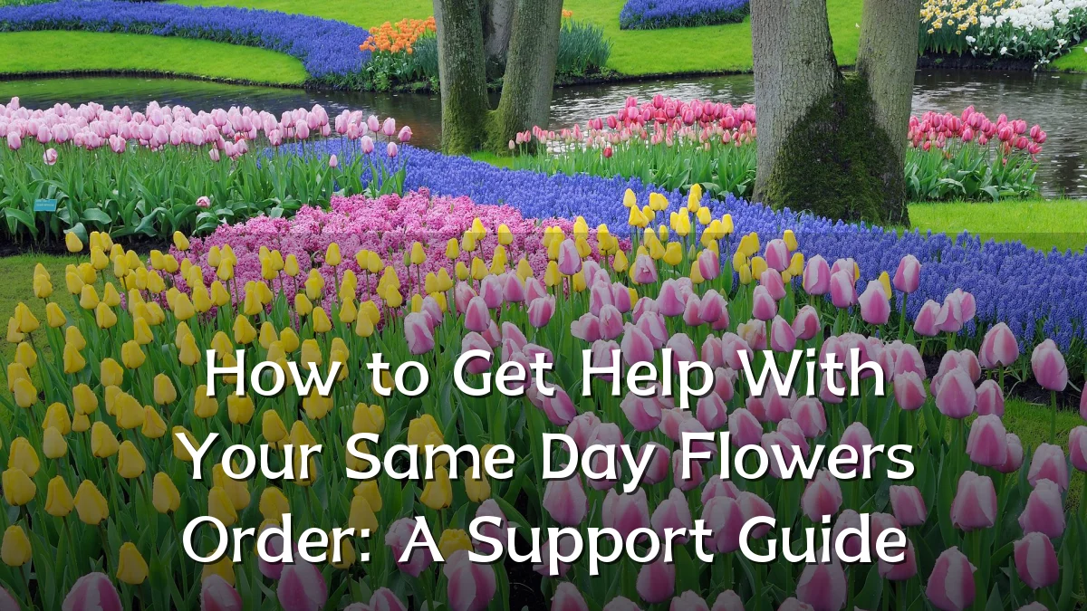 How to Get Help With Your Same Day Flowers Order: A Support Guide