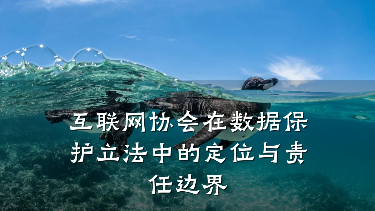 互联网协会在数据保护立法中的定位与责任边界