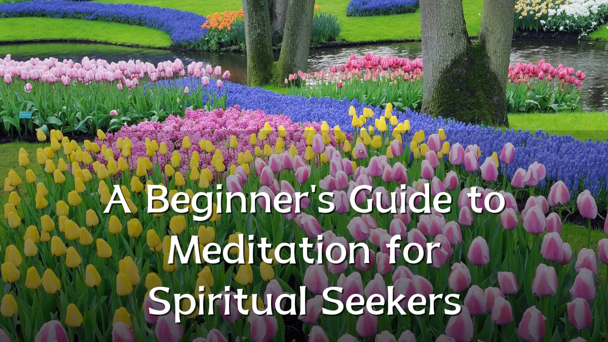 A Beginner's Guide to Meditation for Spiritual Seekers