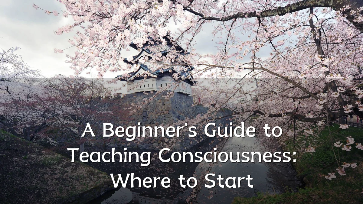 A Beginner's Guide to Teaching Consciousness: Where to Start