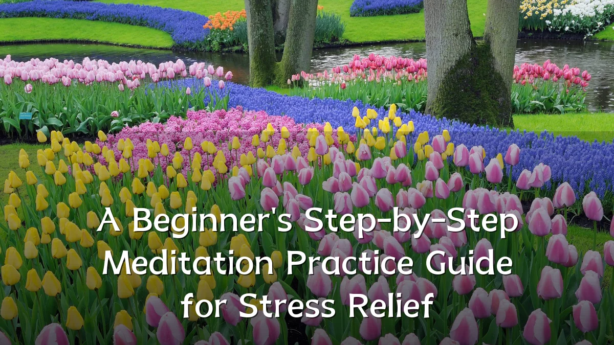 A Beginner's Step-by-Step Meditation Practice Guide for Stress Relief