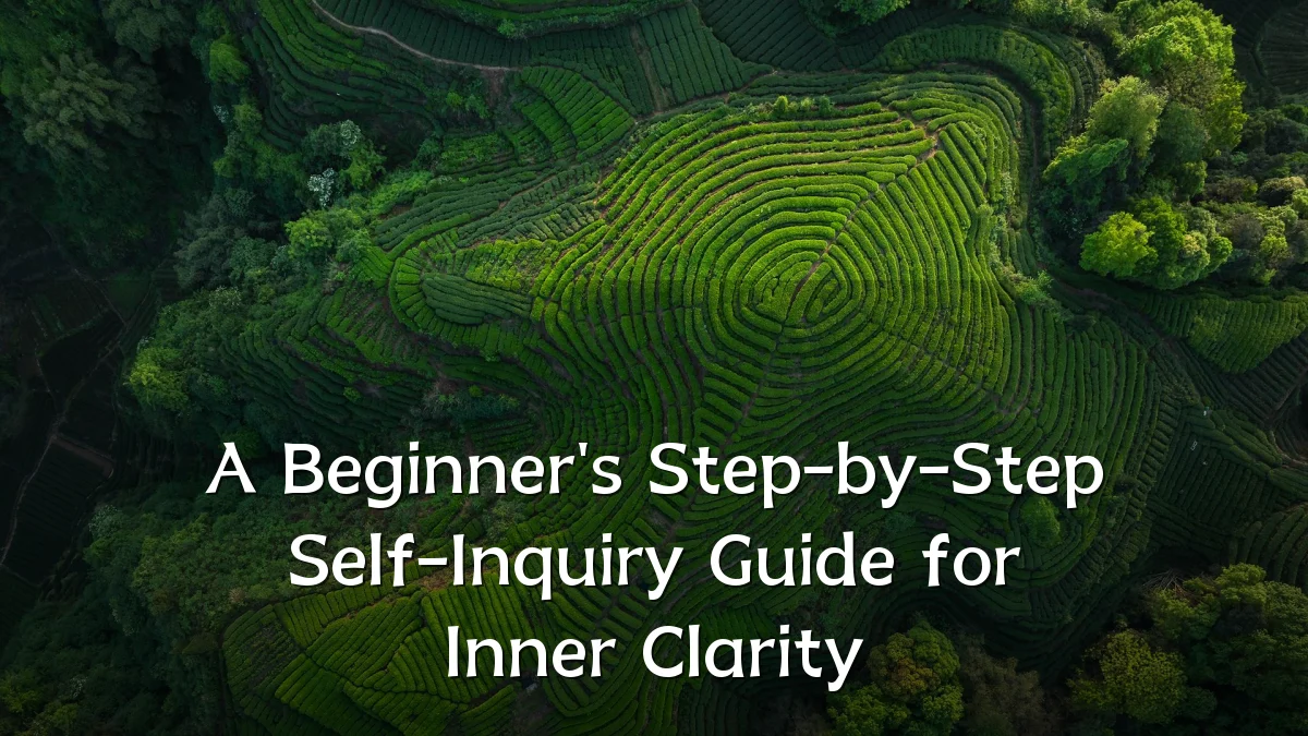 A Beginner's Step-by-Step Self-Inquiry Guide for Inner Clarity