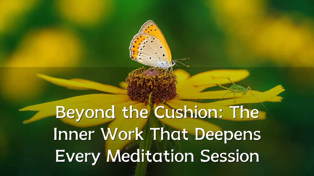 Beyond the Cushion: The Inner Work That Deepens Every Meditation Session