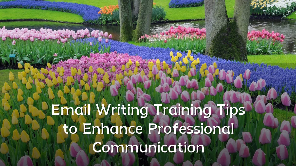 Email Writing Training Tips to Enhance Professional Communication
