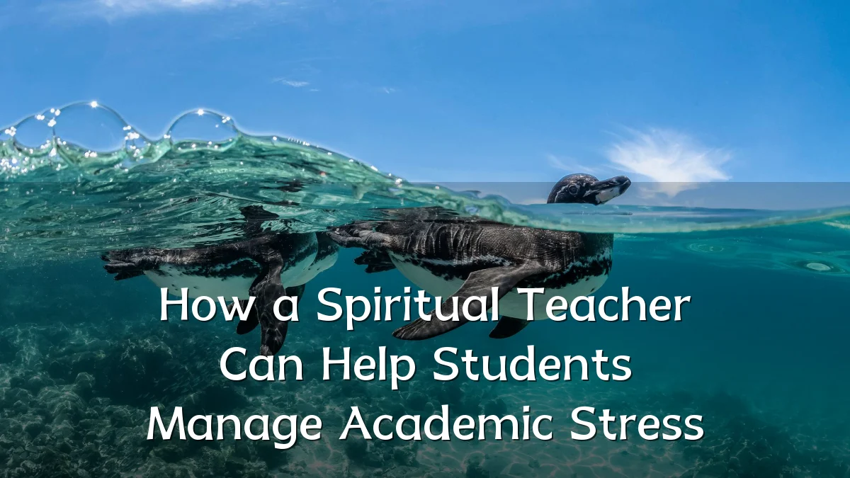 How a Spiritual Teacher Can Help Students Manage Academic Stress