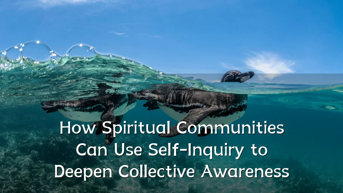 How Spiritual Communities Can Use Self-Inquiry to Deepen Collective Awareness