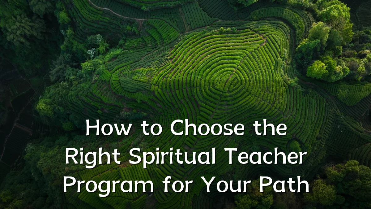 How to Choose the Right Spiritual Teacher Program for Your Path