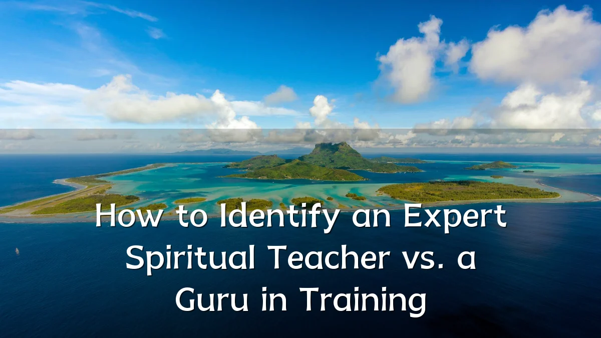 How to Identify an Expert Spiritual Teacher vs. a Guru in Training