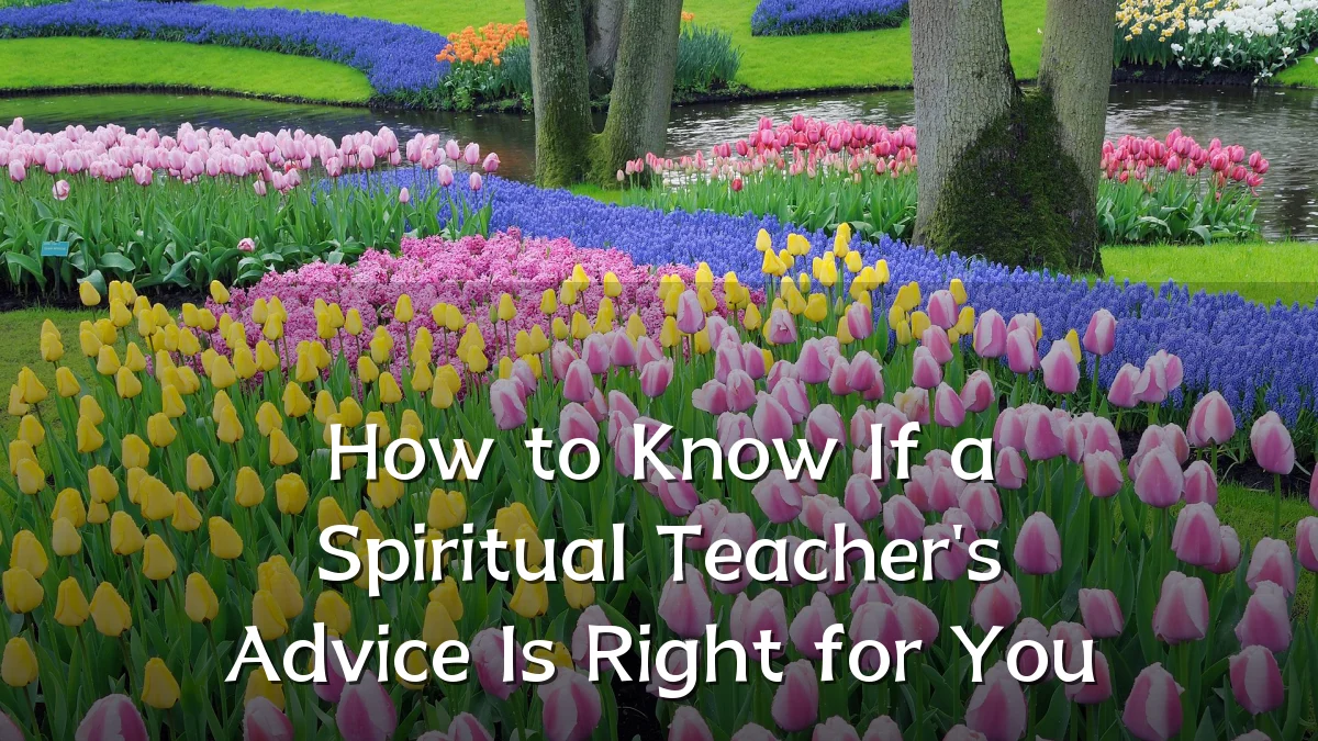 How to Know If a Spiritual Teacher's Advice Is Right for You