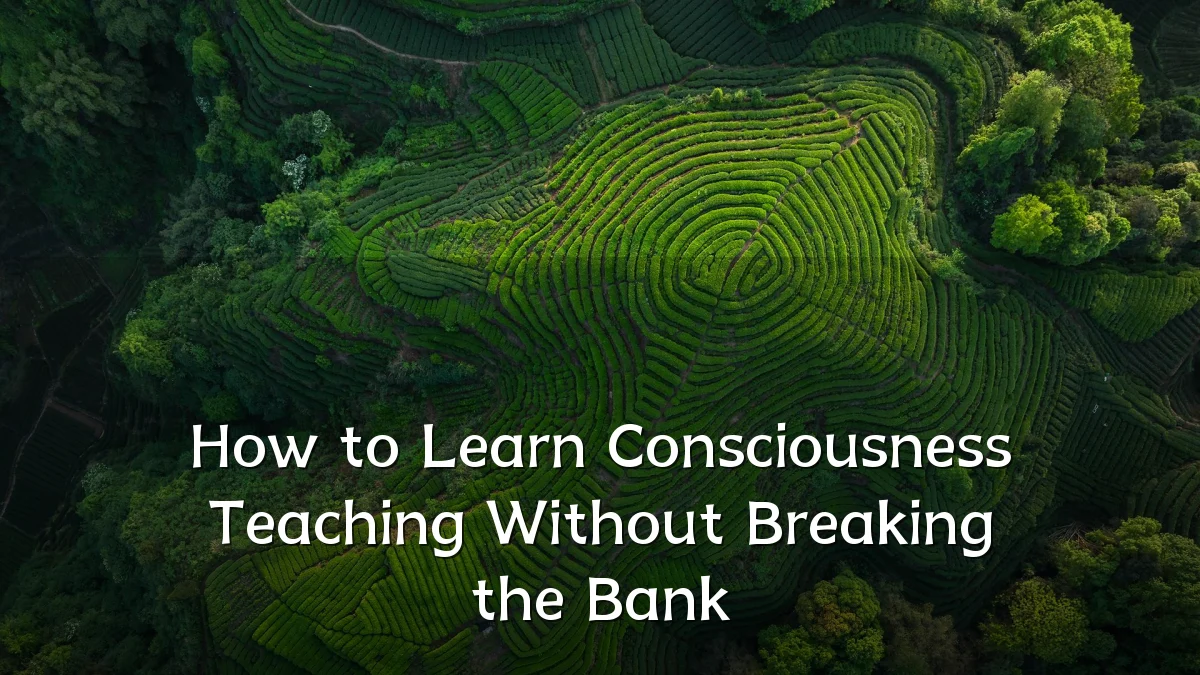 How to Learn Consciousness Teaching Without Breaking the Bank
