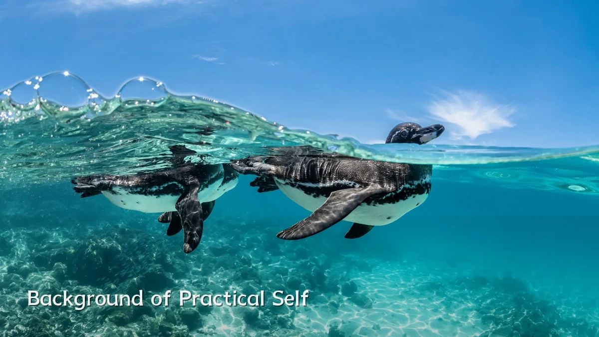 Background of Practical Self