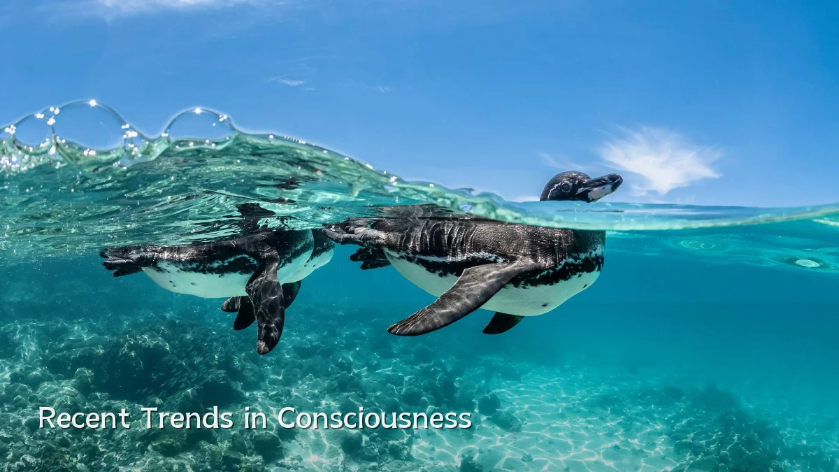 Recent Trends in Consciousness