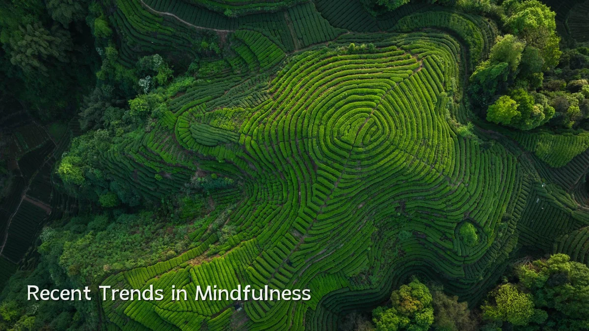 Recent Trends in Mindfulness