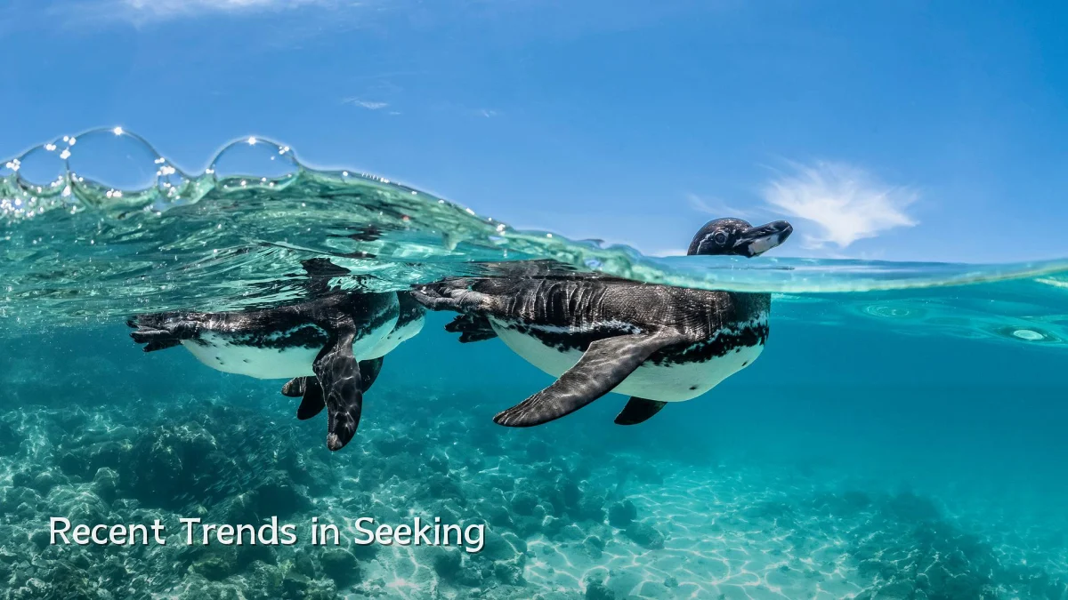 Recent Trends in Seeking