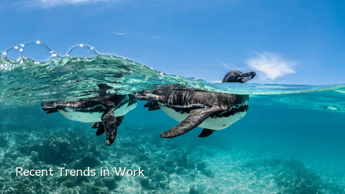 Recent Trends in Work