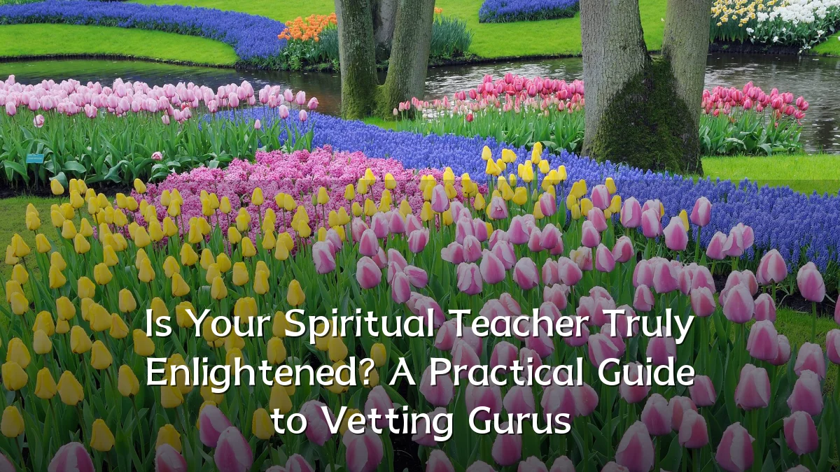 Is Your Spiritual Teacher Truly Enlightened? A Practical Guide to Vetting Gurus