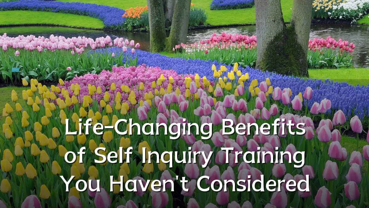 Life-Changing Benefits of Self Inquiry Training You Haven't Considered