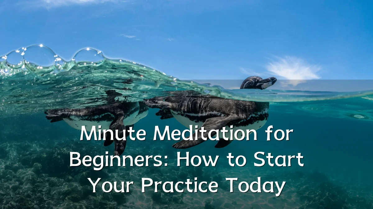 Minute Meditation for Beginners: How to Start Your Practice Today