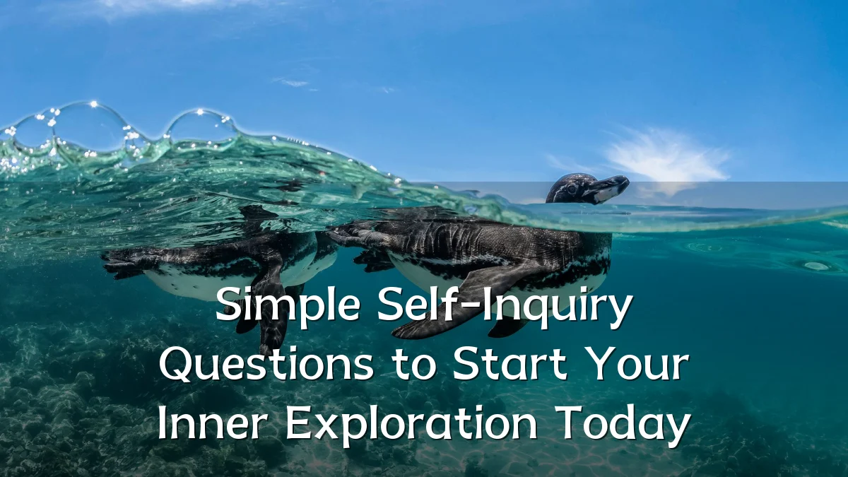 Simple Self-Inquiry Questions to Start Your Inner Exploration Today