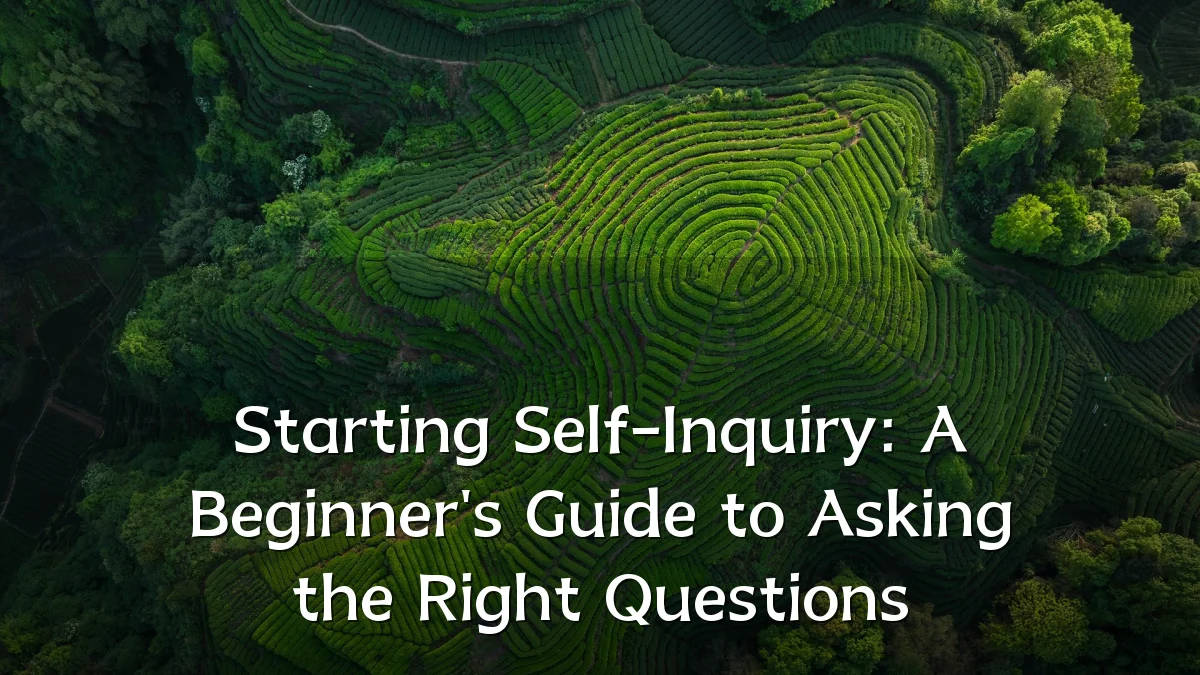 Starting Self-Inquiry: A Beginner's Guide to Asking the Right Questions