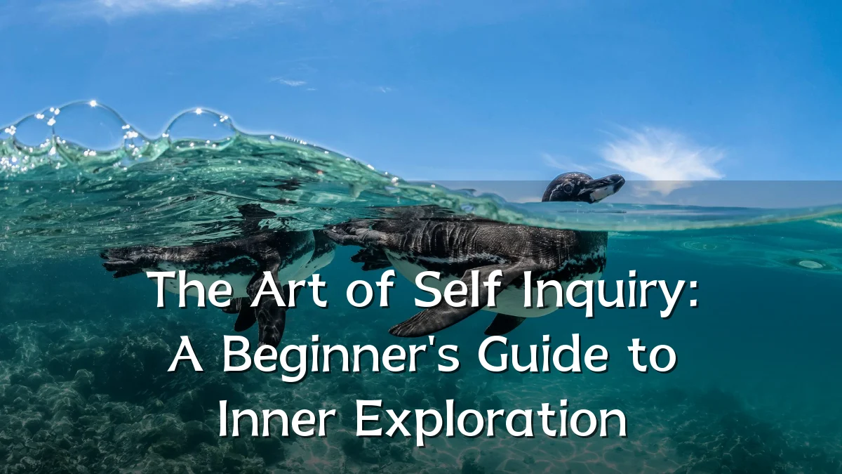 The Art of Self Inquiry: A Beginner's Guide to Inner Exploration