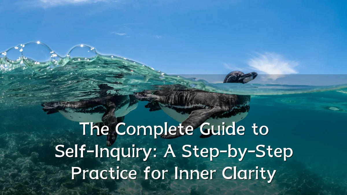 The Complete Guide to Self-Inquiry: A Step-by-Step Practice for Inner Clarity