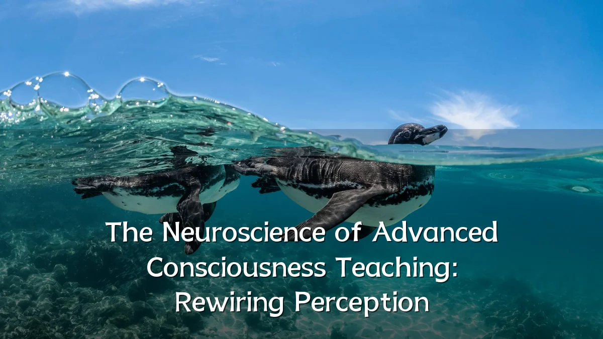 The Neuroscience of Advanced Consciousness Teaching: Rewiring Perception