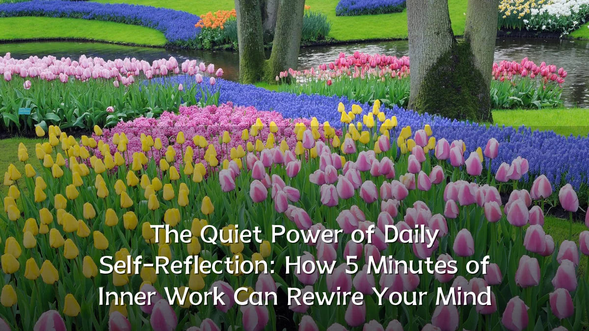 The Quiet Power of Daily Self-Reflection: How 5 Minutes of Inner Work Can Rewire Your Mind