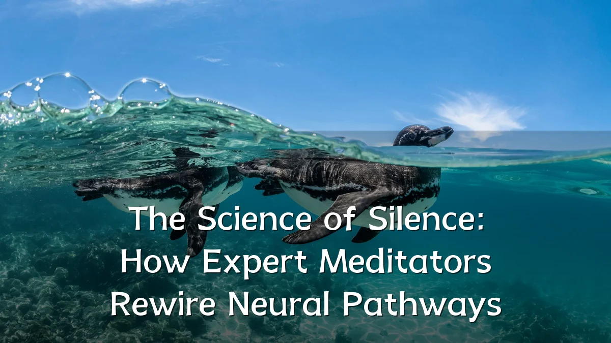The Science of Silence: How Expert Meditators Rewire Neural Pathways