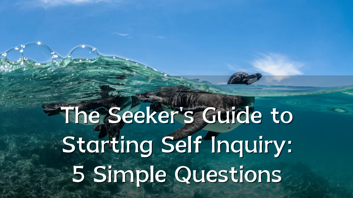 The Seeker's Guide to Starting Self Inquiry: 5 Simple Questions