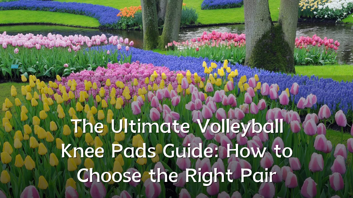 The Ultimate Volleyball Knee Pads Guide: How to Choose the Right Pair