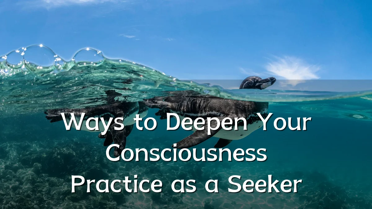 Ways to Deepen Your Consciousness Practice as a Seeker