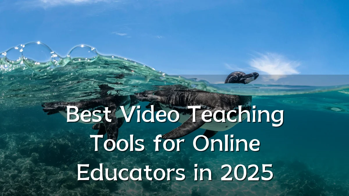 Best Video Teaching Tools for Online Educators in 2025