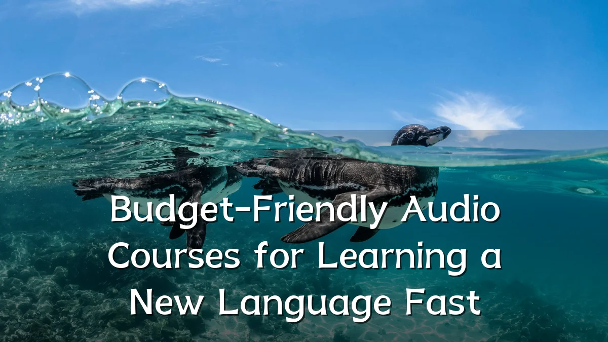 Budget-Friendly Audio Courses for Learning a New Language Fast