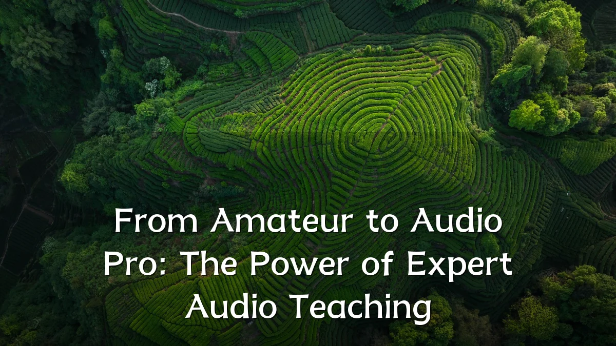 From Amateur to Audio Pro: The Power of Expert Audio Teaching