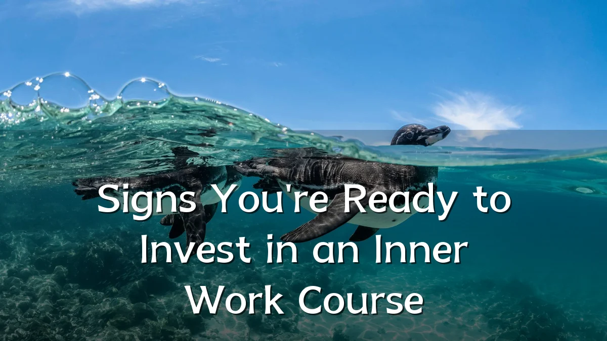 Signs You're Ready to Invest in an Inner Work Course
