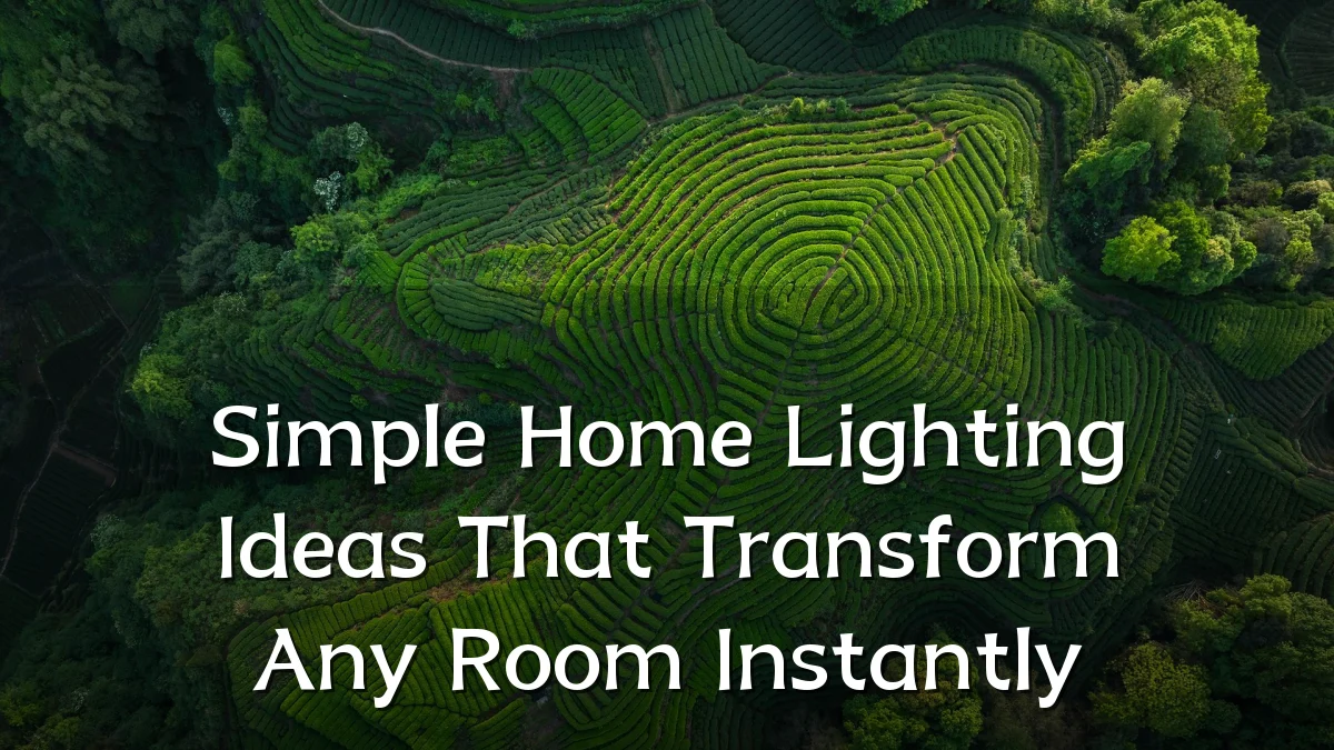 Simple Home Lighting Ideas That Transform Any Room Instantly