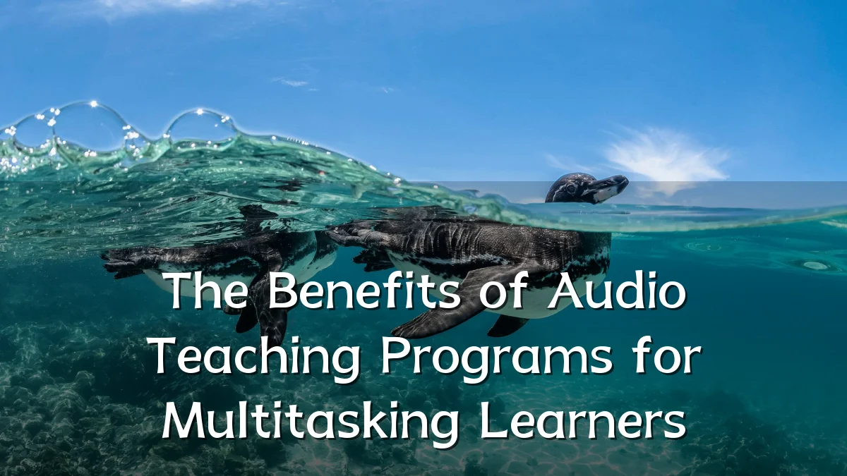 The Benefits of Audio Teaching Programs for Multitasking Learners