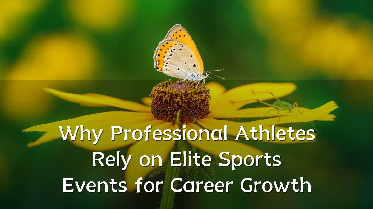Why Professional Athletes Rely on Elite Sports Events for Career Growth