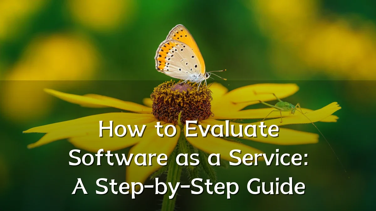 How to Evaluate Software as a Service: A Step-by-Step Guide