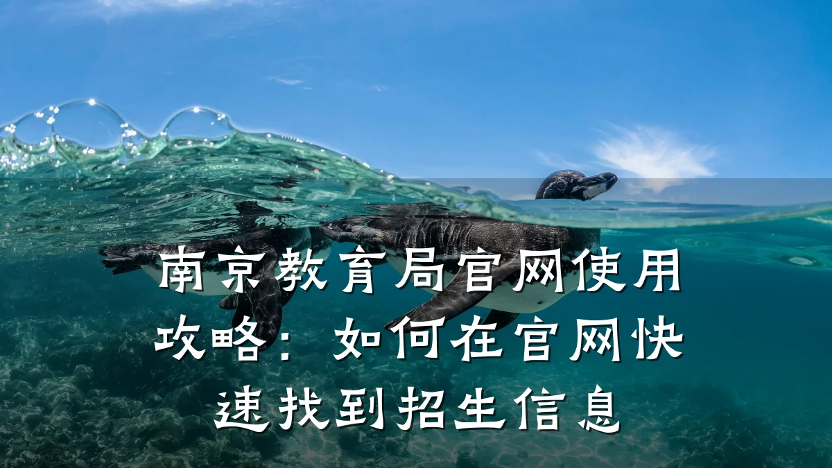 南京教育局官网使用攻略：如何在官网快速找到招生信息