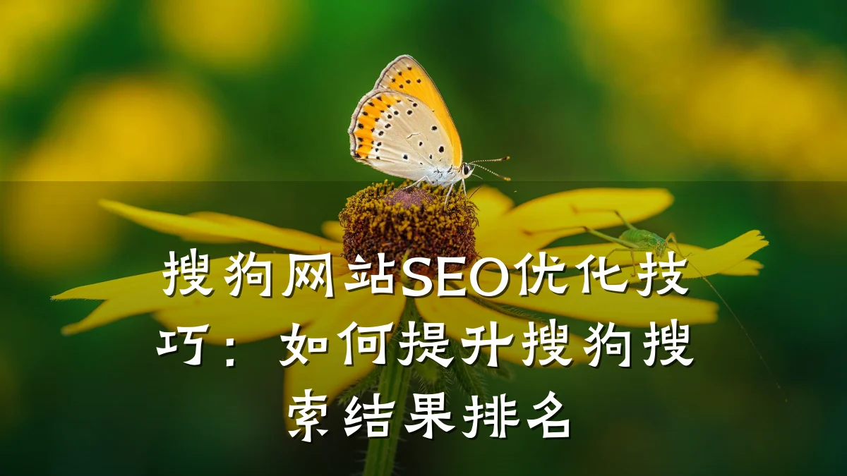 搜狗网站SEO优化技巧：如何提升搜狗搜索结果排名